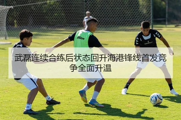 武磊连续合练后状态回升海港锋线首发竞争全面升温